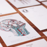 TWY180115-16_科學明信片 - 人體解剖圖 Science Postcard - Anatomy Image (2)