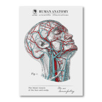 TWY180116_科學明信片 - 人體解剖圖 (頭) Science Postcard - Anatomy Image (Head)