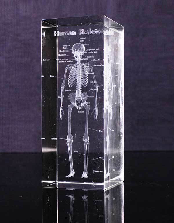 Custom Magnetic Paper Clip Sculpture Paperweight - Bones